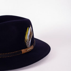 Stetson Valrico Vitafelt
