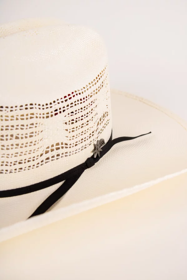 Bailey Western Desert Breeze