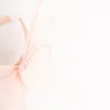 Loevenich Sinamay Fascinator