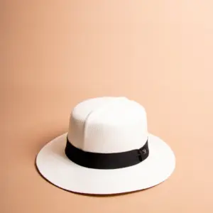 Vintimilla Hat rollbar