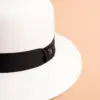 Vintimilla Hat rollbar