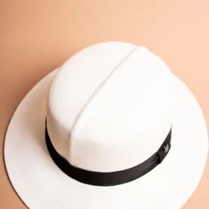 Vintimilla Hat rollbar