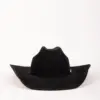 Bailey Luzerne Western Hat