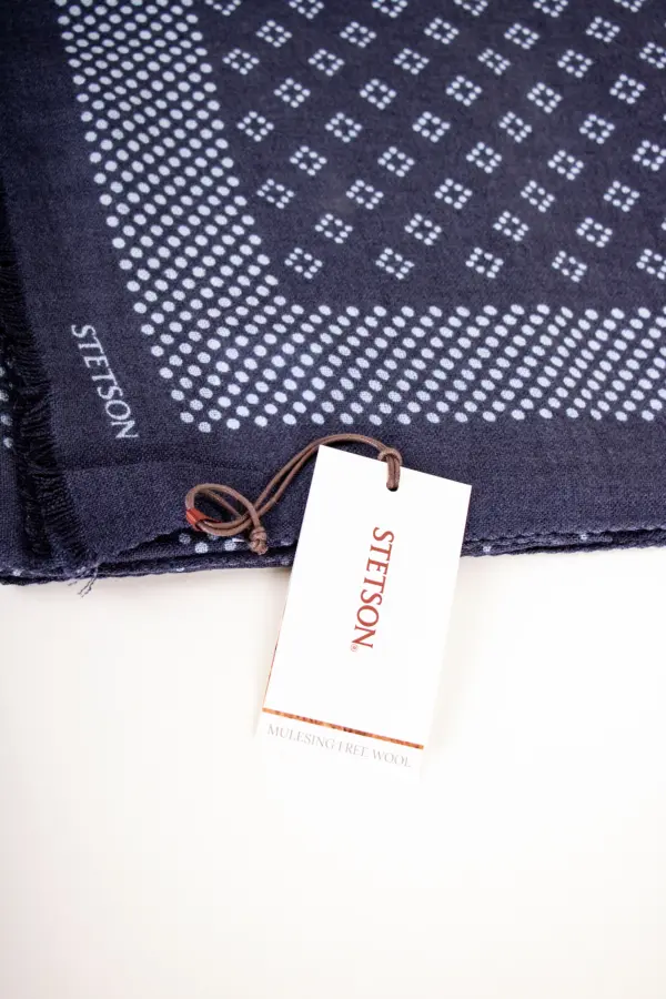 Stetson Schal Dots aus Wolle