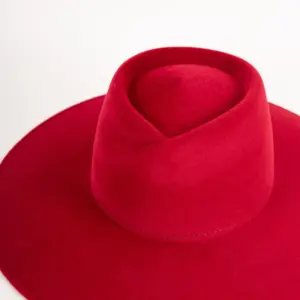 Webahats Fleur Velourfilzhut Tizian