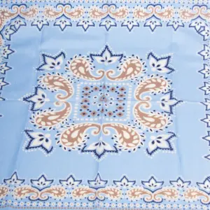 Hemley Seidentuch Paisley
