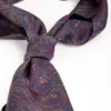 Hemley Krawattenschal Paisley Aubergine