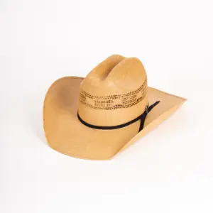 Bailey Westernhut Costa