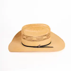 Bailey Westernhut Costa
