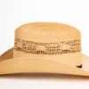 Bailey Westernhut Costa