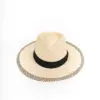 Vintimilla Hat Traveller