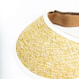 Vintimilla Visor