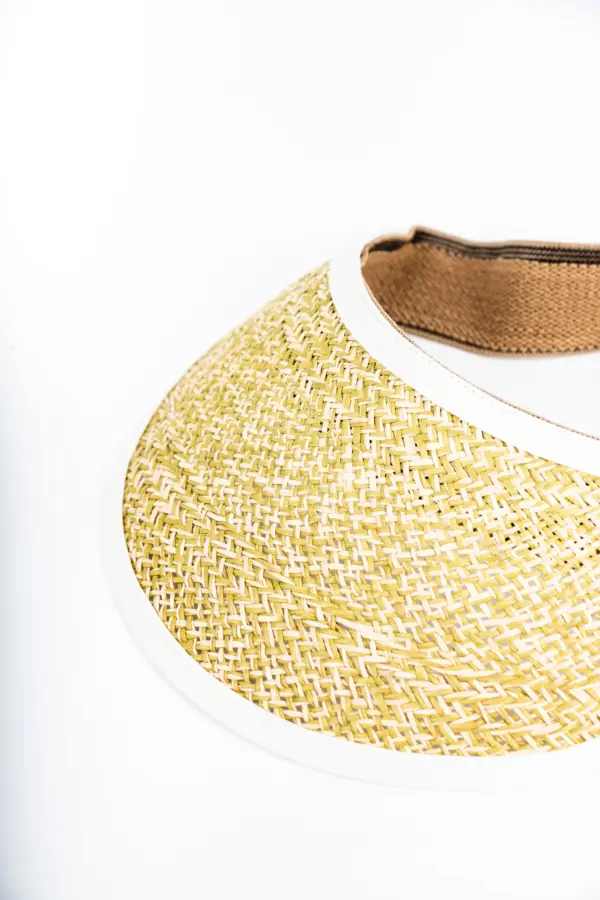 Vintimilla Visor