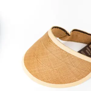 Vintimilla Visor