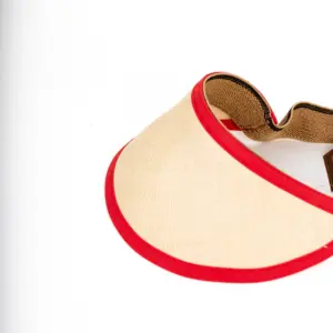 Vintimilla Visor