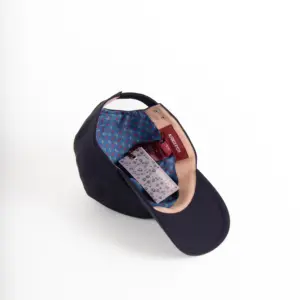 Alfonso D'Este Baseball Cap Regen