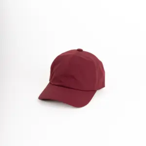 Alfonso D'Este Baseball Cap Regen