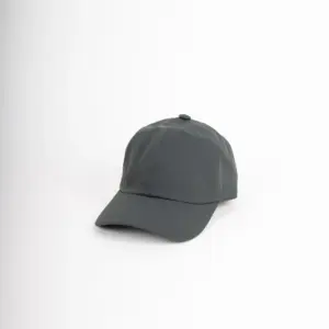 Alfonso D'Este Baseball Cap Regen
